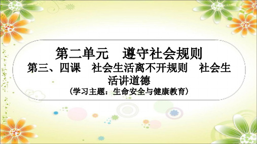 2024年中考一轮道德与法治复习：遵守社会规则 课件