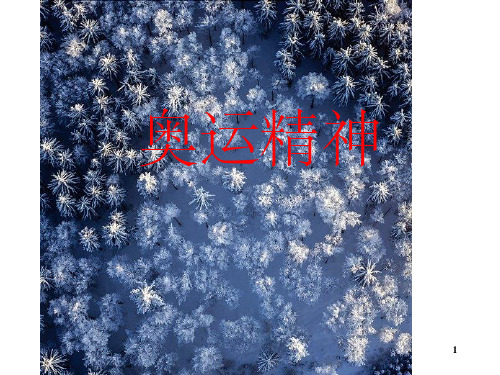 《奥运精神》课件