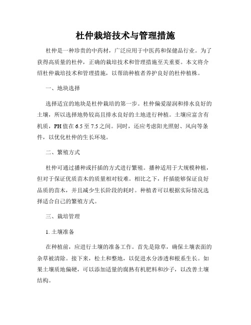 杜仲栽培技术与管理措施