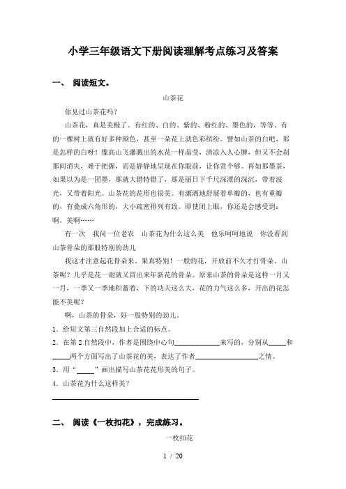 小学三年级语文下册阅读理解考点练习及答案