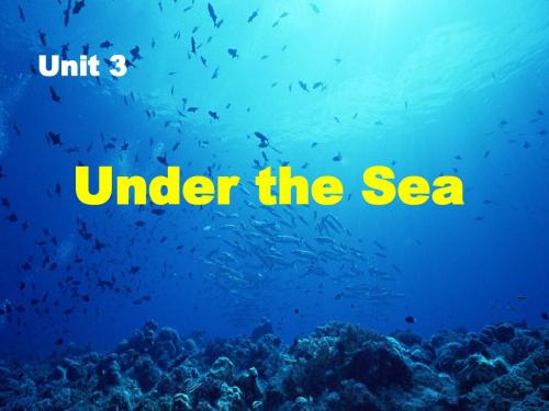 选修7 Unit 3 Under the sea Warming up and language points