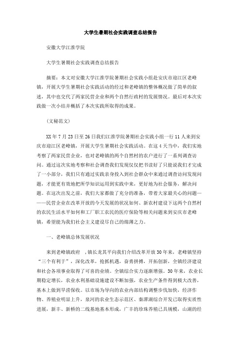 大学生暑期社会实践调查总结报告