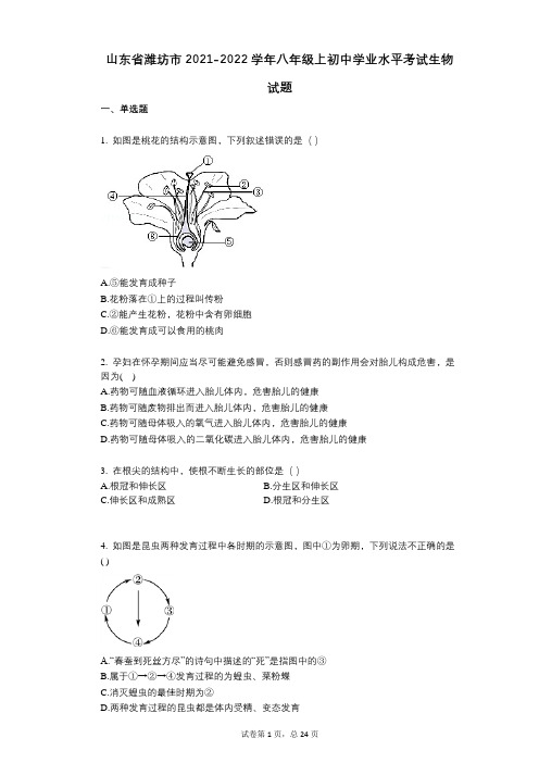 山东省潍坊市2021-2022学年-有答案-八年级上初中学业水平考试生物试题