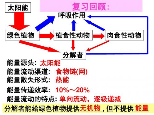 人教版高中生物必修(三)5.3生态系统的物质循环 课件 (共44张PPT)