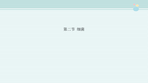 〖2021年整理〗《第二节 细菌》完整版教学课件PPT