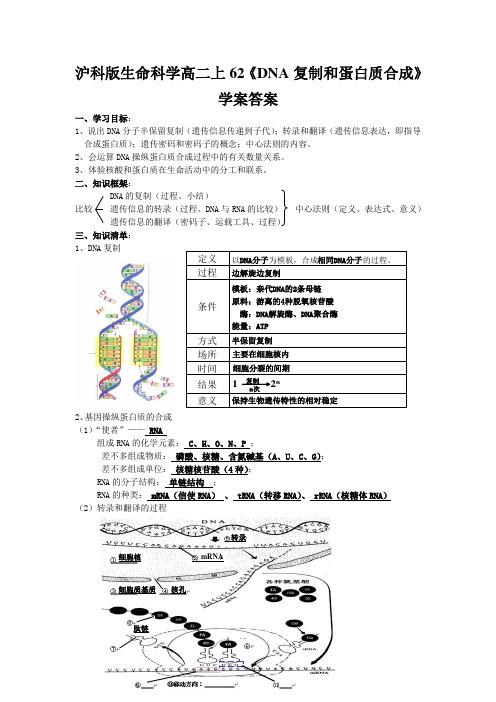 沪科版生命科学高二上62《DNA复制和蛋白质合成》学案答案