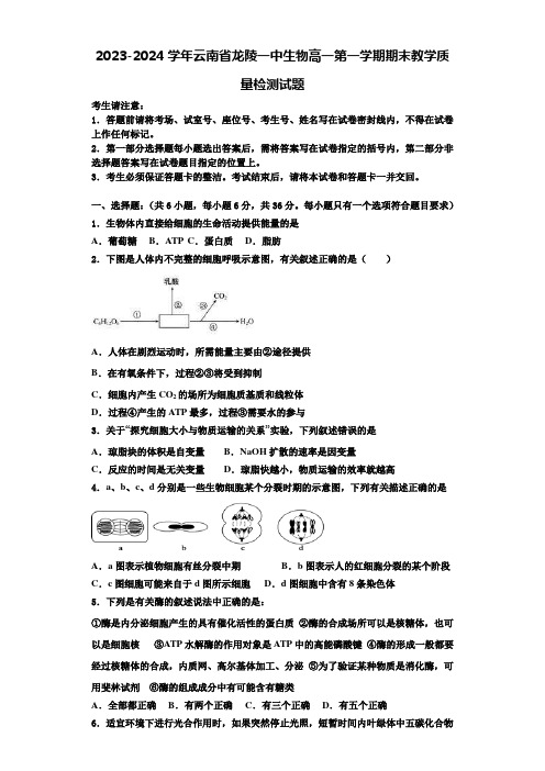 2023-2024学年云南省龙陵一中生物高一第一学期期末教学质量检测试题含解析