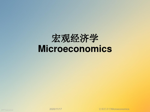 宏观经济学Microeconomics