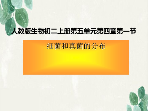 任丘市第一中学八年级生物上册5.4.1细菌和真菌的分布课件2新版新人教版