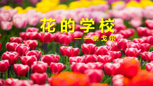 《花的学校》ppt课件