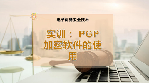 实训： PGP加密软件的使用