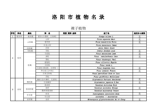 洛阳市植物名录表汇总