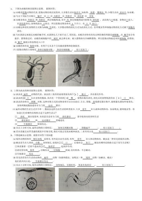 初中生物会考八年级复习提纲汇总