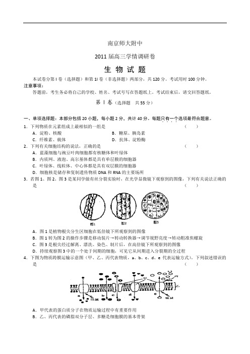 江苏省南京师大附中2011届高三学情调研卷(生物)