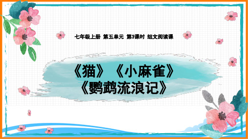 部编版七年级语文上册第五单元主题阅读第3课时_组文阅读课_生命之美_名师课件