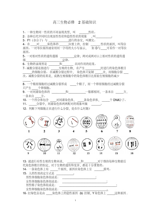 高中生物必修2挖空填充