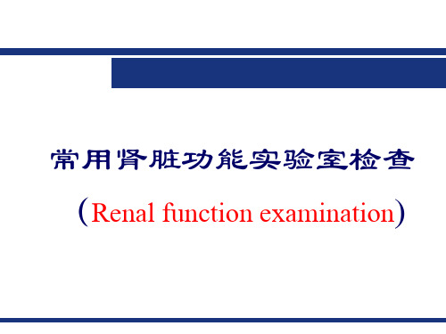 肾功能检查 -