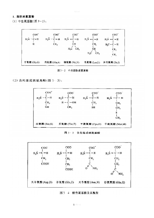 20种常见氨基酸缩写代号