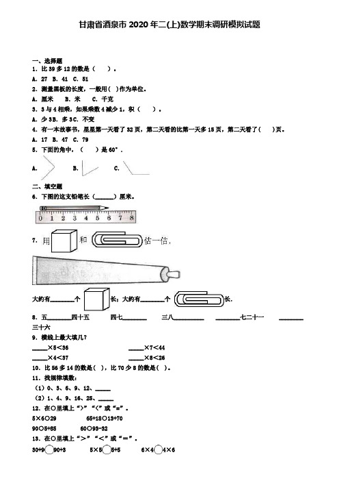 甘肃省酒泉市2020年二(上)数学期末调研模拟试题