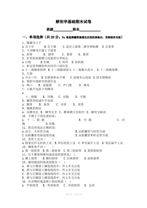 中职解剖学基础期中试卷