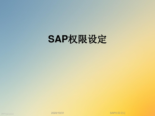 SAP权限设定