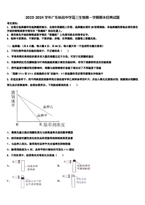 2023-2024学年广东执信中学高三生物第一学期期末经典试题含解析