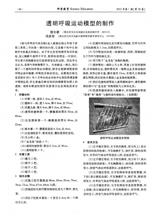 透明呼吸运动模型的制作