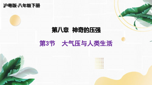 沪粤版八年级物理下册8.3大气压与人类生活课件