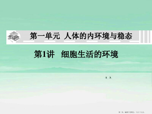 高中生物 内环境稳态 复习课件 新人教版必修3