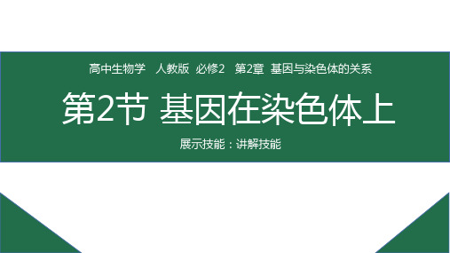 基因在染色体上课件2020-2021学年高一下学期生物人教版必修2