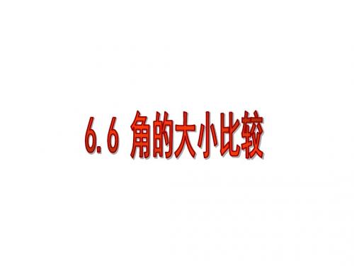 6.6角的比较大小