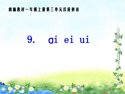 部编人教版小学一年级语文上册《ai ei ui》优质课件