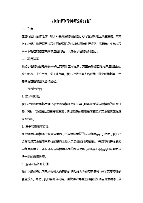 小组可行性承诺分析