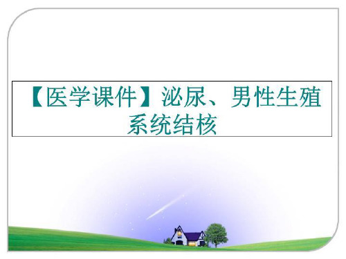 最新【医学课件】泌尿、男性生殖系统结核幻灯片课件