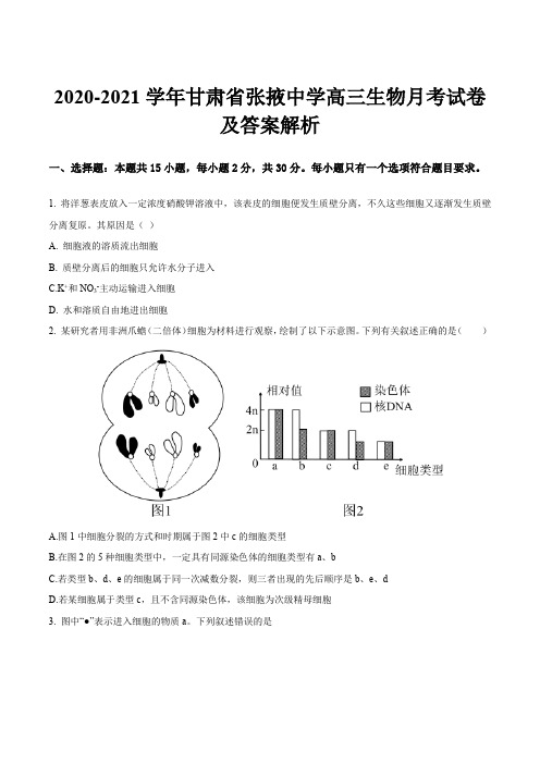 2020-2021学年甘肃省张掖中学高三生物月考试卷及答案解析