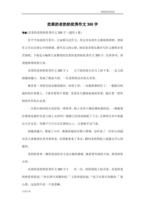 卖菜的老奶奶优秀作文300字