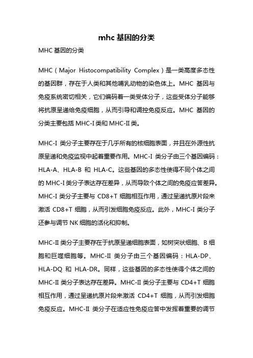 mhc基因的分类