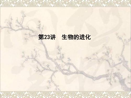 高中生物第七单元生物的变异育种和进化第23讲生物的进化课件