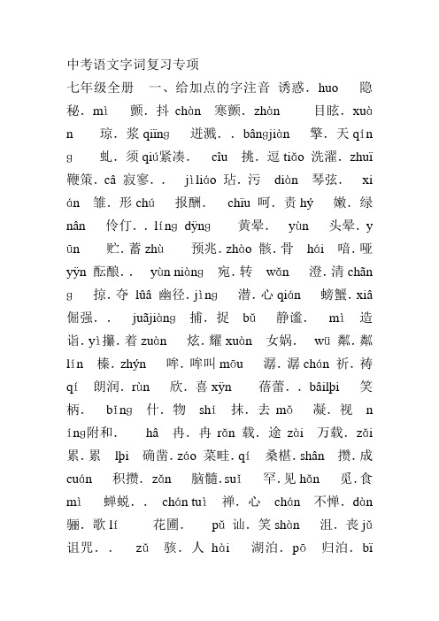 中考语文字词复习专项