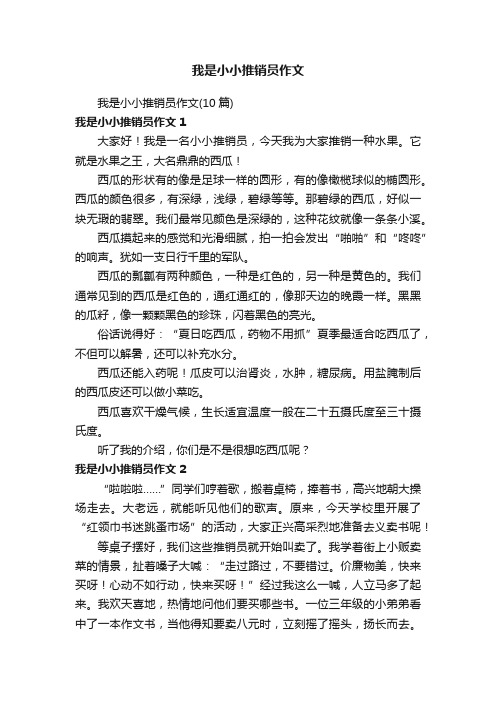 我是小小推销员作文