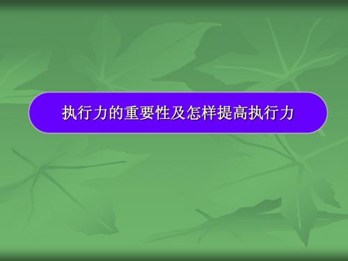 企业执行力的重要性和怎样提高执行力(PPT 34页)20130820zhou