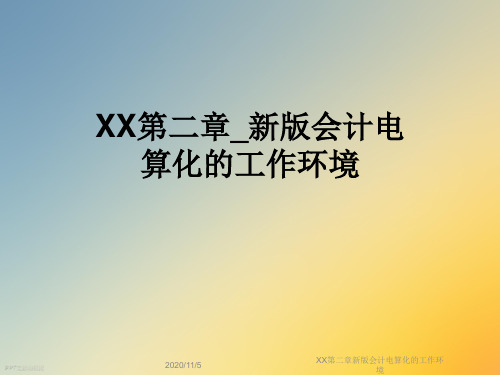 XX第二章新版会计电算化的工作环境