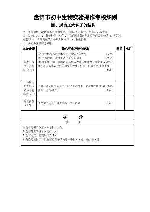 观察玉米种子的结构