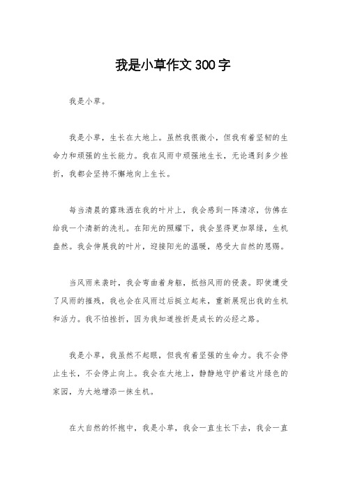 我是小草作文300字