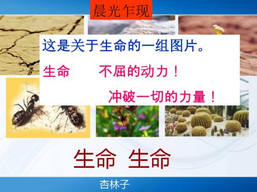 生命,生命PPT61 鲁教版