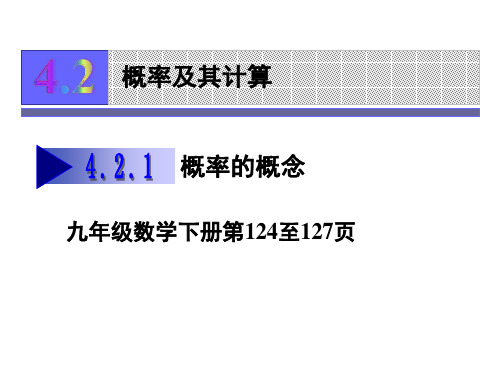 湘教版九年级数学下册4.2.1概率的概念