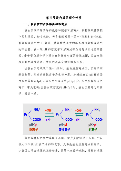 蛋白质理化性质