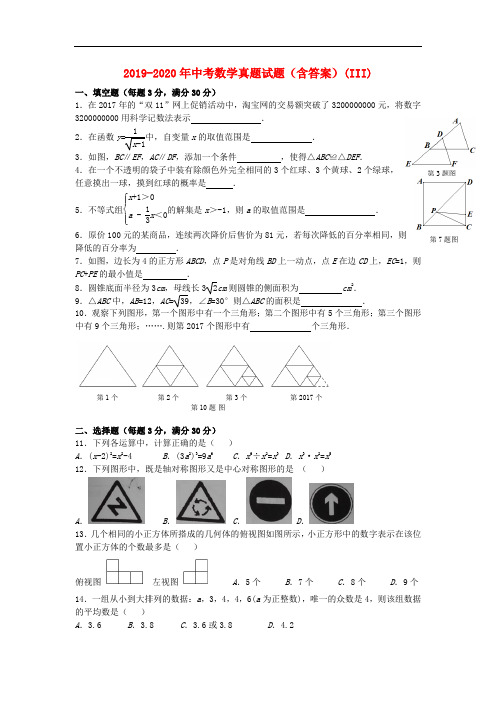 2019-2020年中考数学真题试题(含答案)(III)