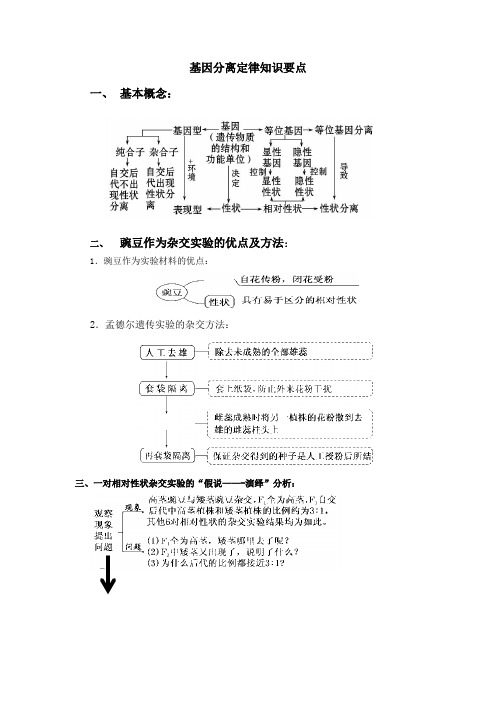 基因分离定律知识要点