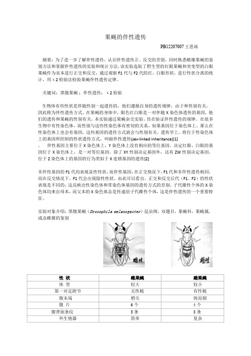 果蝇的伴性遗传